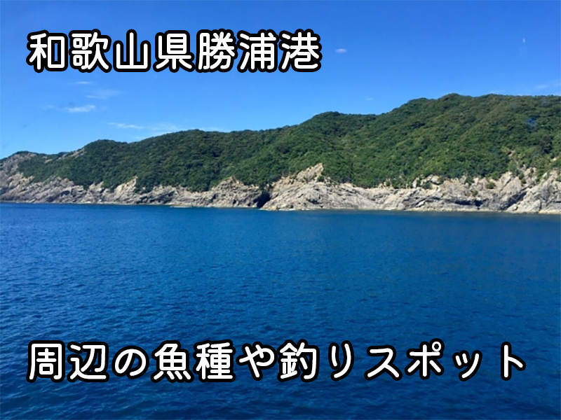 和歌山県勝浦港の釣り場情報｜メインの釣り場「渡の島」周辺の魚種や釣り方を紹介