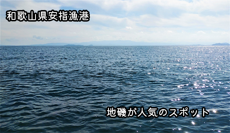 和歌山県串本町付近の安指漁港の裏側にある地磯が人気の釣り場でグレ・イガミ・アオリイカが釣れる！釣り方も紹介【最新情報2023年】