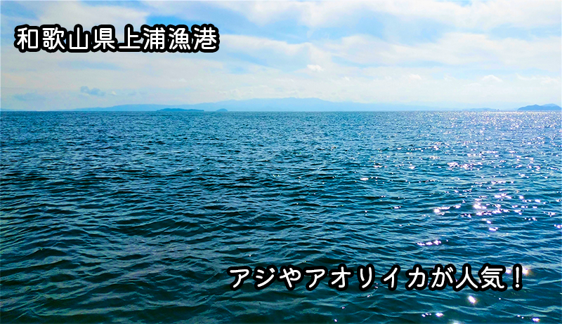 和歌山県串本町上浦漁港でアジやアオリイカが釣れる！釣り方も解説【最新情報2023年】和歌山県串本町上浦漁港でアジやアオリイカが釣れる！釣り方も解説【最新情報2023年】
