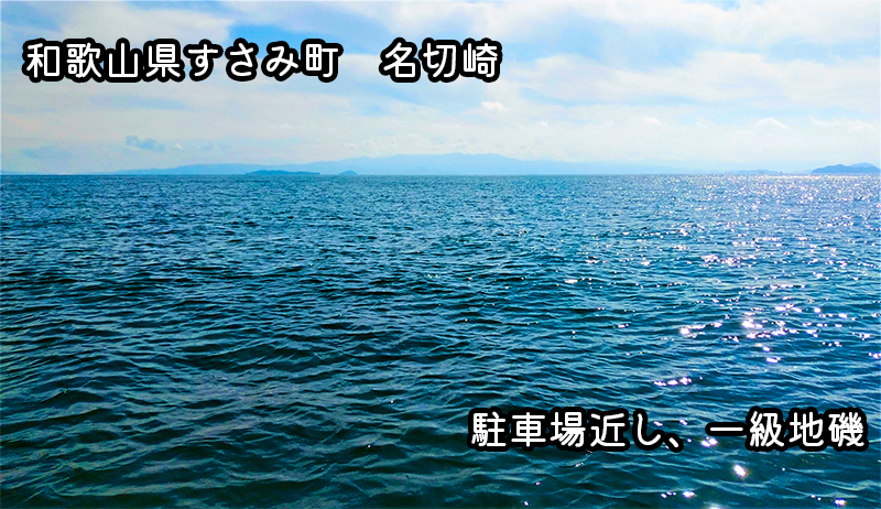 和歌山県すさみ町の名切崎で釣れる魚と釣り方まとめ【釣りスポット紹介】