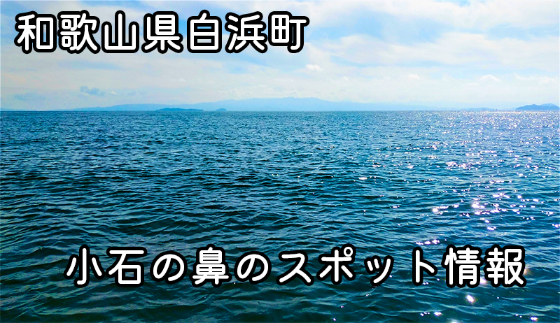 和歌山県白浜町・小石の鼻釣りスポットガイド｜1級地磯で豊富な魚種を狙おう