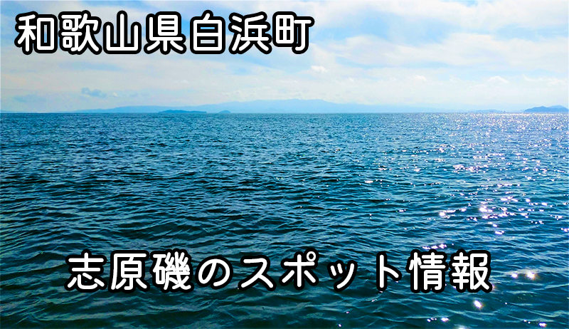 志原磯で釣り三昧！和歌山県白浜町の最高の釣りスポットを徹底解説！ | グレ・イガミ・アオリイカ