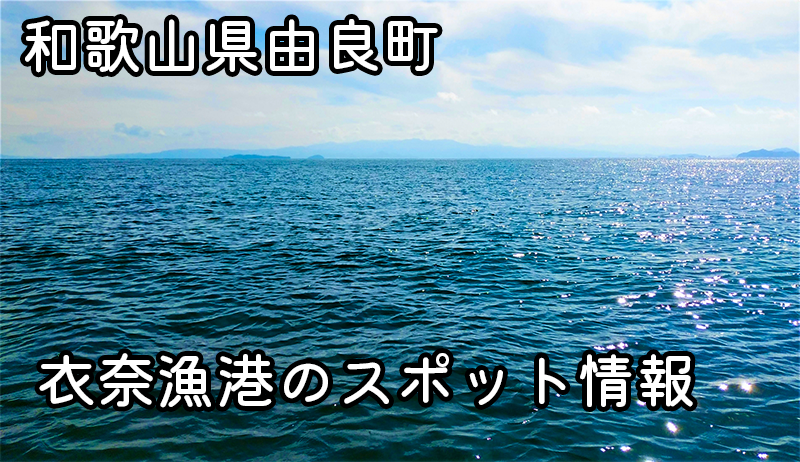 和歌山県由良町の秘境！衣奈漁港で楽しむ絶品釣り体験とその釣り方