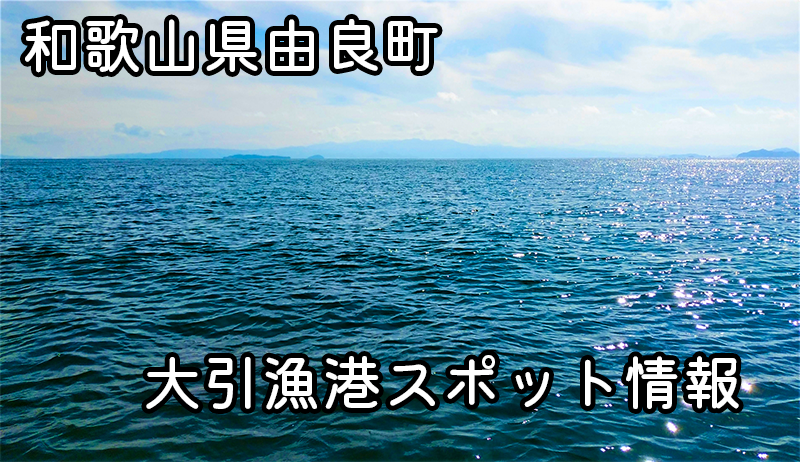 和歌山県由良町の大引漁港：至福の釣り体験と最適な釣り方ガイド