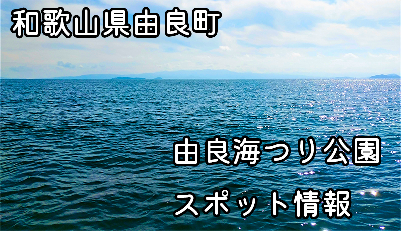 和歌山県由良町・由良海つり公園：気軽に筏釣り体験！種類豊富な魚釣りの楽しさを伝えます