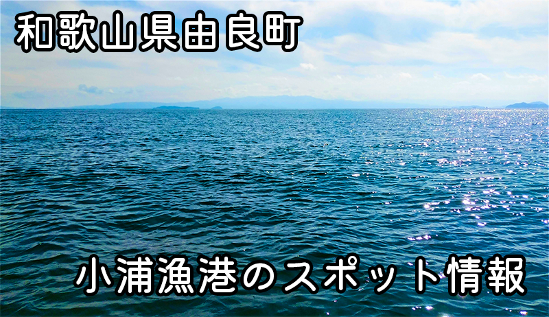 和歌山県日高町・小浦漁港：多種多様な魚種と便利な設備が魅力の釣りスポットの全貌