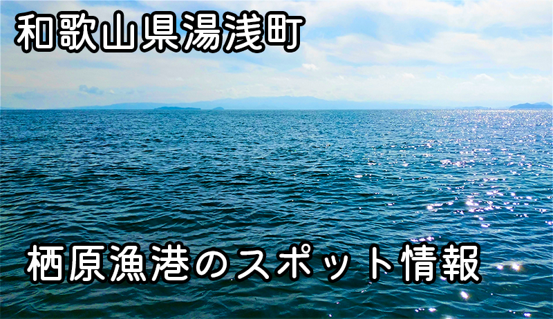 栖原漁港での釣り体験：和歌山県湯浅町の隠れた名スポット | アジ, チヌ, アオリイカの釣り方解説