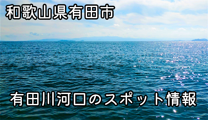 有田川河口：和歌山県有田市の絶好の釣りスポットとその詳細 | 釣りの楽園
