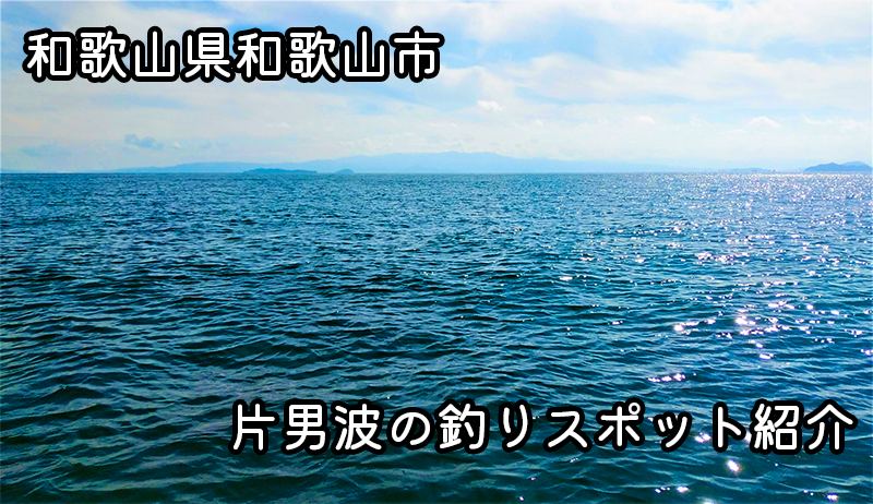 和歌山市片男波の釣りスポット紹介：和歌川河口での楽しい釣り体験