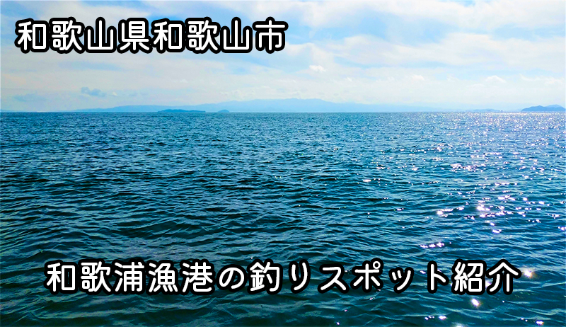 和歌山県和歌山市和歌浦漁港：豊富な魚種と釣り方の魅力を解説