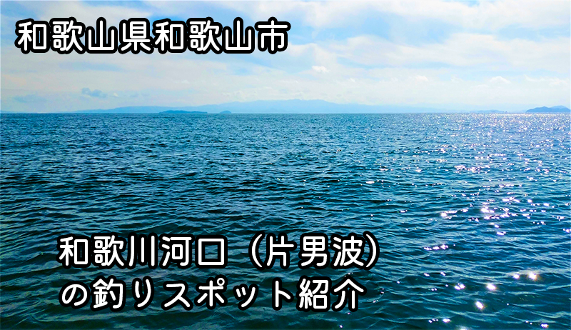 和歌山市の釣りスポット - 和歌川河口（片男波）で豊富な魚種を釣ろう！