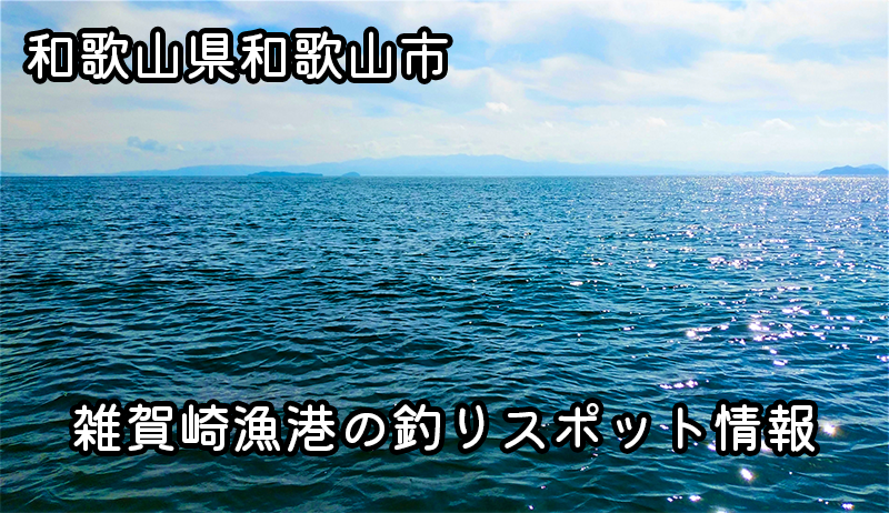 雑賀崎漁港の釣り情報
