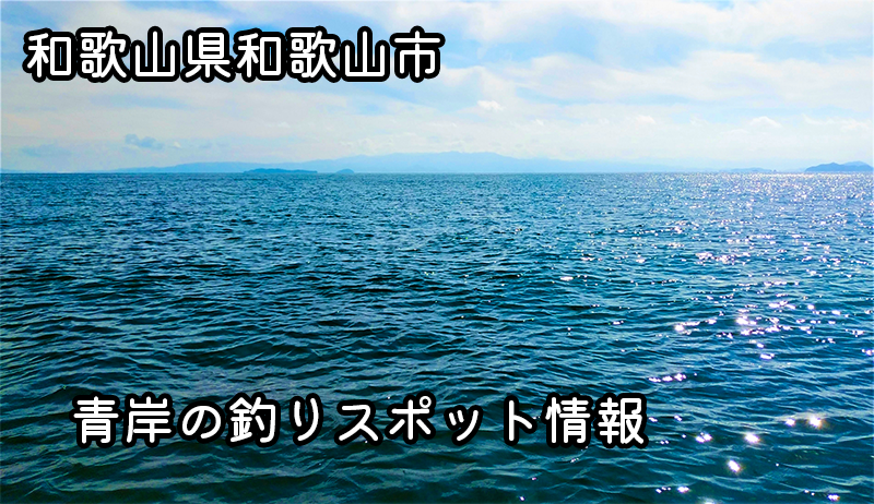和歌山県和歌山市「青岸」｜様々な魚種が楽しめる理想的な釣り場！