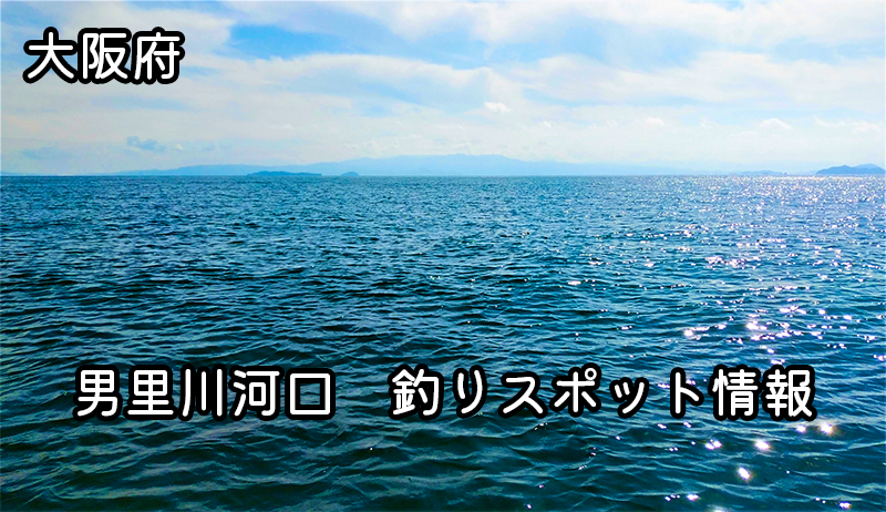 男里川河口で楽しむ大阪府の最高の海釣り