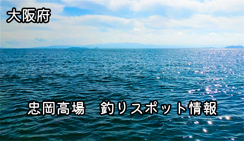忠岡高場：大阪府の穴場釣りスポットを完全ガイド！