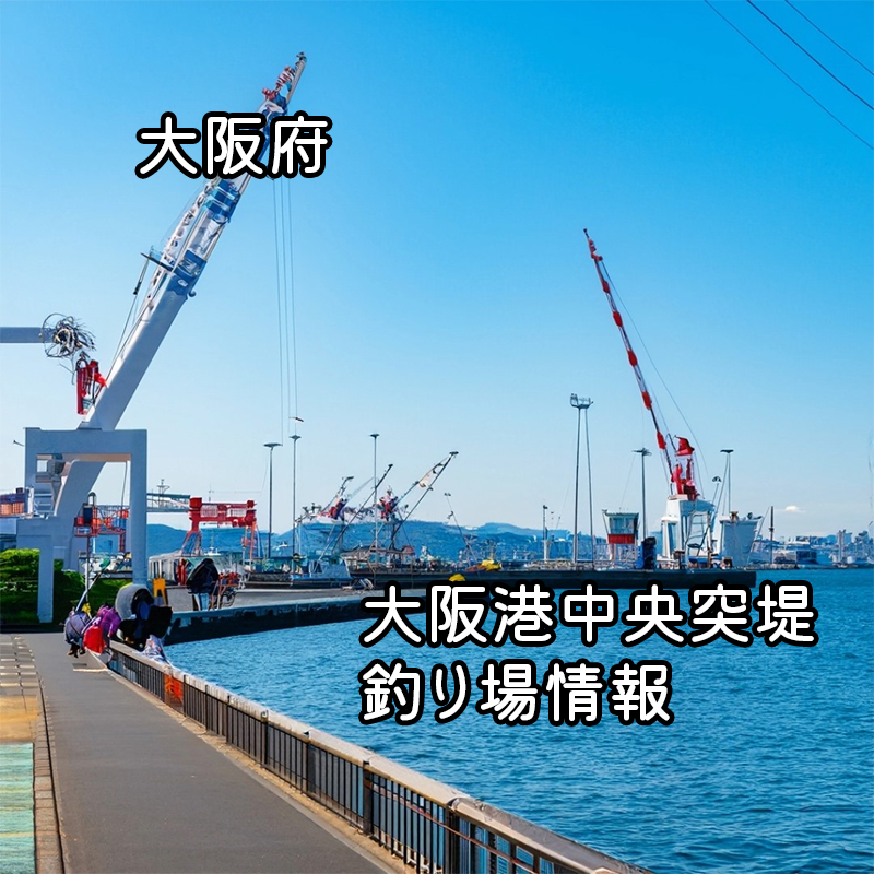 大阪港中央突堤釣り場情報